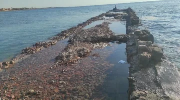 هل يفرض قانون 2025 الإفصاح عن المواد الخطرة في مياه الدولة؟